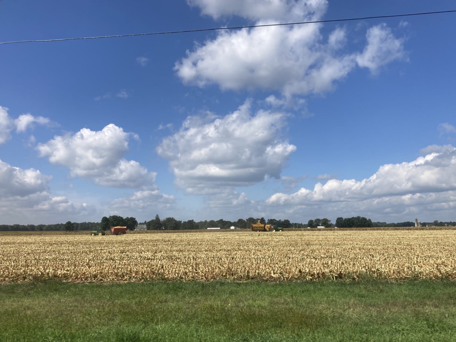 Several types of farming equipment harvesting seed corn in a field.